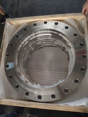หน้าแปลนมาตรฐาน DIN EN1092 CS SS PN6 ถึง PN63 RUST PROOF หน้าแปลนน้ำมันปลอมแปลง